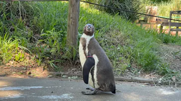 こども動物自然公園（埼玉県公園緑地協会）に投稿された画像（2026/5/5）