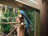 世界淡水魚園水族館　アクア・トトぎふに投稿された画像（2026/5/5）