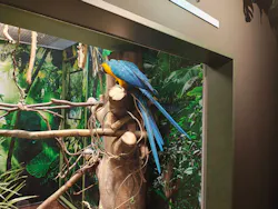 世界淡水魚園水族館　アクア・トトぎふに投稿された画像（2026/5/5）