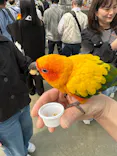 掛川花鳥園に投稿された画像（2026/5/5）