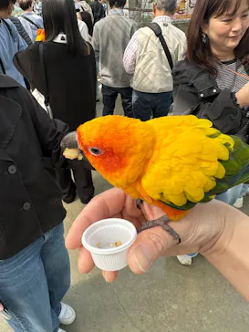 掛川花鳥園に投稿された画像（2026/5/5）