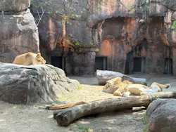 天王寺動物園に投稿された画像（2026/5/5）