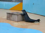 東武動物公園に投稿された画像（2026/5/5）