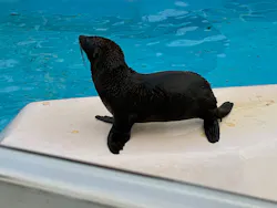 東武動物公園に投稿された画像（2026/5/5）