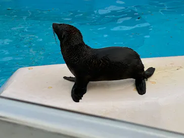 東武動物公園に投稿された画像（2026/5/5）