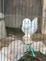 東武動物公園に投稿された画像（2026/5/5）