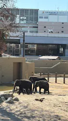 天王寺動物園に投稿された画像（2026/5/5）