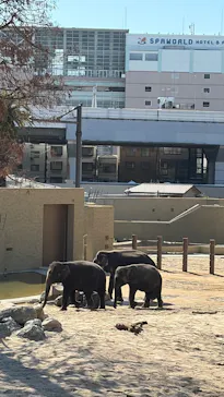 天王寺動物園に投稿された画像（2026/5/5）