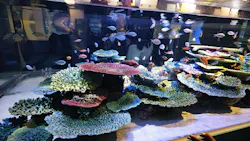 竹島水族館に投稿された画像（2026/5/5）