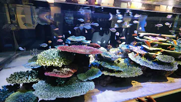 竹島水族館に投稿された画像（2026/5/5）