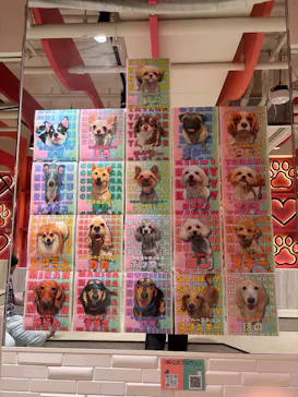いぬカフェRio 池袋店に投稿された画像（2026/5/5）