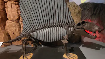 特別展「大絶滅展―生命史のビッグファイブ」に投稿された画像（2026/5/5）