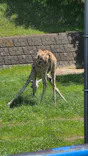 千葉市動物公園に投稿された画像（2026/5/5）