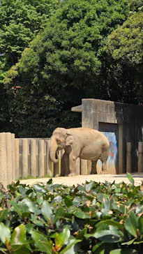 千葉市動物公園に投稿された画像（2026/5/5）