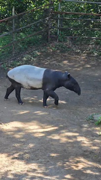 千葉市動物公園に投稿された画像（2026/5/5）