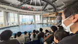 アクアワールド茨城県大洗水族館に投稿された画像（2026/5/5）