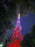 東京タワーに投稿された画像（2026/5/5）