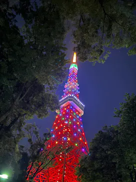東京タワーに投稿された画像（2026/5/5）