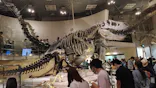 国立科学博物館に投稿された画像（2026/5/6）