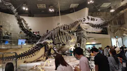 国立科学博物館に投稿された画像（2026/5/5）