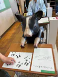 らぽっぽ なめがたファーマーズヴィレッジに投稿された画像（2026/5/6）
