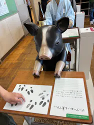 らぽっぽ なめがたファーマーズヴィレッジに投稿された画像（2026/5/5）