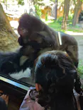 恩賜上野動物園に投稿された画像（2026/5/6）