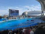 名古屋港水族館に投稿された画像（2026/5/6）
