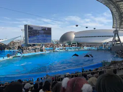 名古屋港水族館に投稿された画像（2026/5/5）