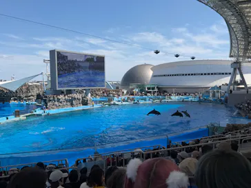 名古屋港水族館に投稿された画像（2026/5/5）