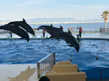 マリンワールド海の中道に投稿された画像（2026/5/6）