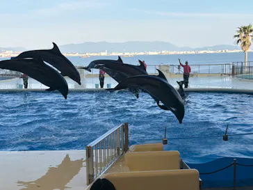 マリンワールド海の中道に投稿された画像（2026/5/5）