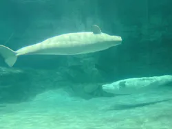 名古屋港水族館に投稿された画像（2026/5/5）