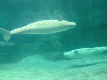 名古屋港水族館に投稿された画像（2026/5/5）