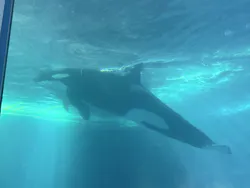 名古屋港水族館に投稿された画像（2026/5/5）
