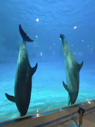 名古屋港水族館に投稿された画像（2026/5/5）
