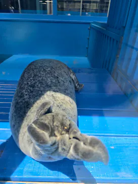ゼロ距離水族館 伊勢シーパラダイスに投稿された画像（2026/5/5）