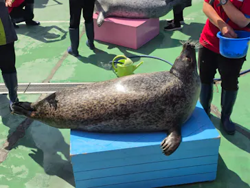 ゼロ距離水族館 伊勢シーパラダイスに投稿された画像（2026/5/5）