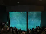 葛西臨海水族園に投稿された画像（2026/5/6）