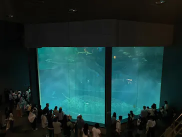 葛西臨海水族園に投稿された画像（2026/5/5）