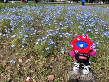 万博記念公園に投稿された画像（2026/5/5）