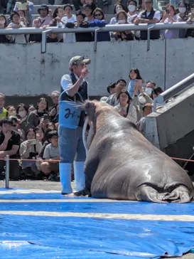 大分マリーンパレス水族館 「うみたまご」に投稿された画像（2026/5/5）