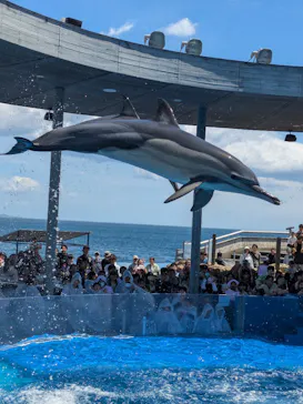 大分マリーンパレス水族館 「うみたまご」に投稿された画像（2026/5/5）