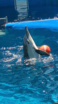 大分マリーンパレス水族館 「うみたまご」に投稿された画像（2026/5/5）