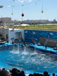 仙台うみの杜水族館に投稿された画像（2026/5/6）