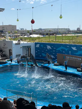 仙台うみの杜水族館に投稿された画像（2026/5/5）