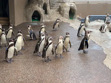アクアワールド茨城県大洗水族館に投稿された画像（2026/5/5）