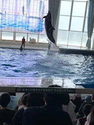 アクアワールド茨城県大洗水族館に投稿された画像（2026/5/5）