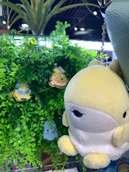 アクアワールド茨城県大洗水族館に投稿された画像（2026/5/5）