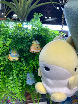 アクアワールド茨城県大洗水族館に投稿された画像（2026/5/5）
